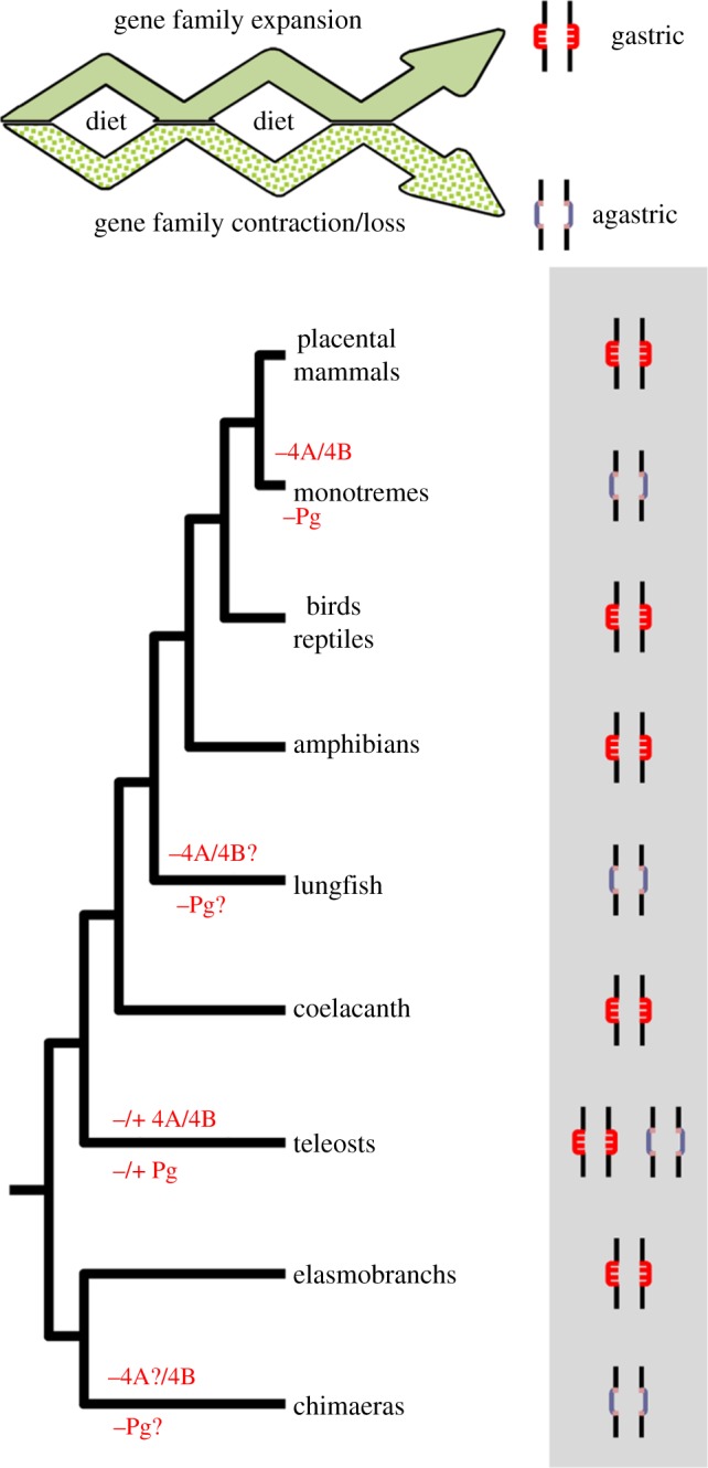 Figure 6.