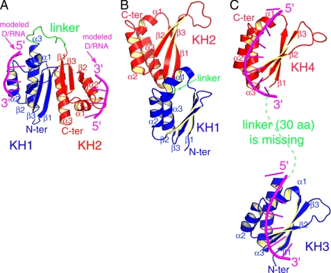 FIGURE 4.