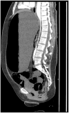 Fig 1
