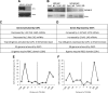 Fig. 11.