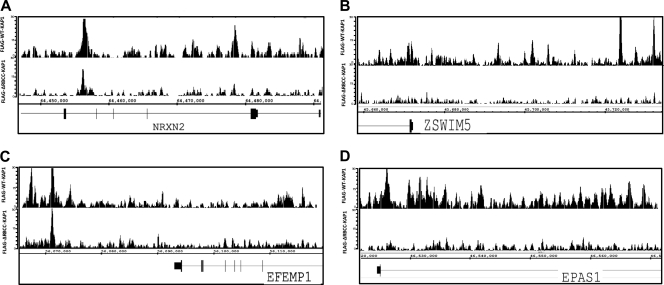 Fig. 12.