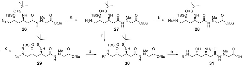 Scheme 1