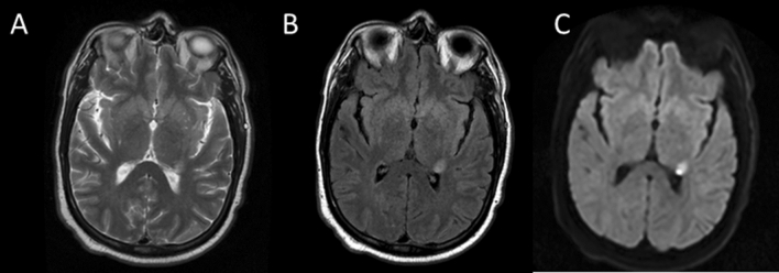 Fig. 5