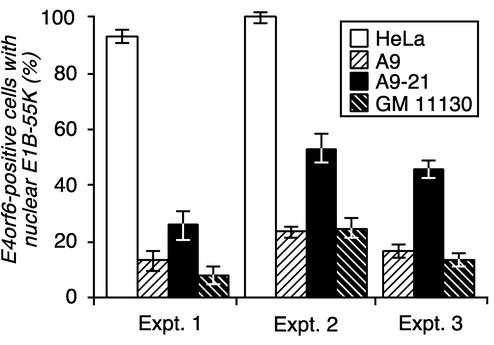 FIG. 6.