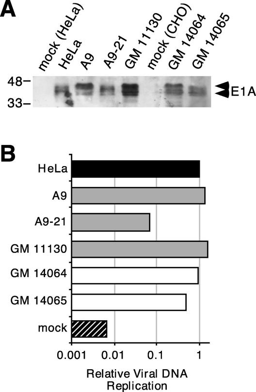 FIG. 7.