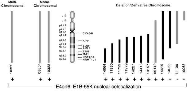 FIG. 4.