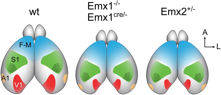 Fig 5