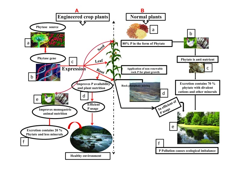 Fig. 2