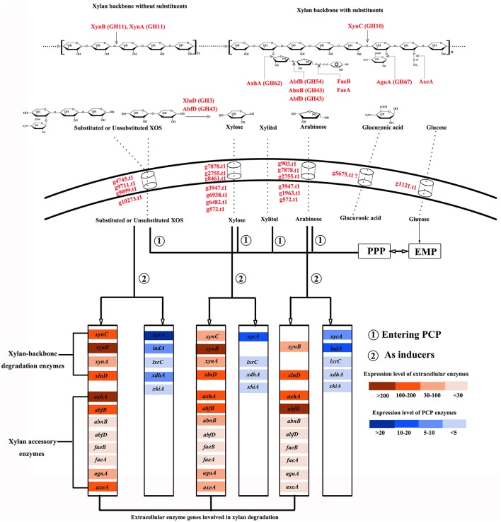 Figure 6