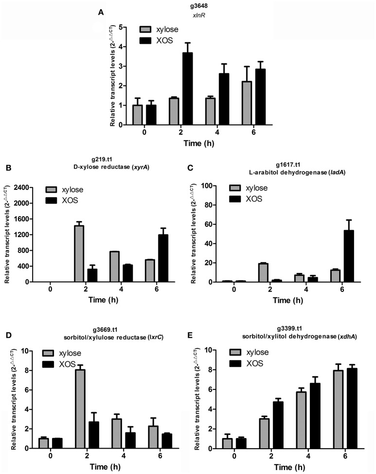 Figure 5