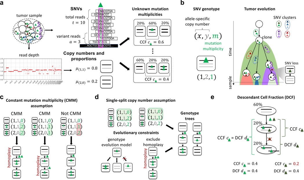 Figure 1: