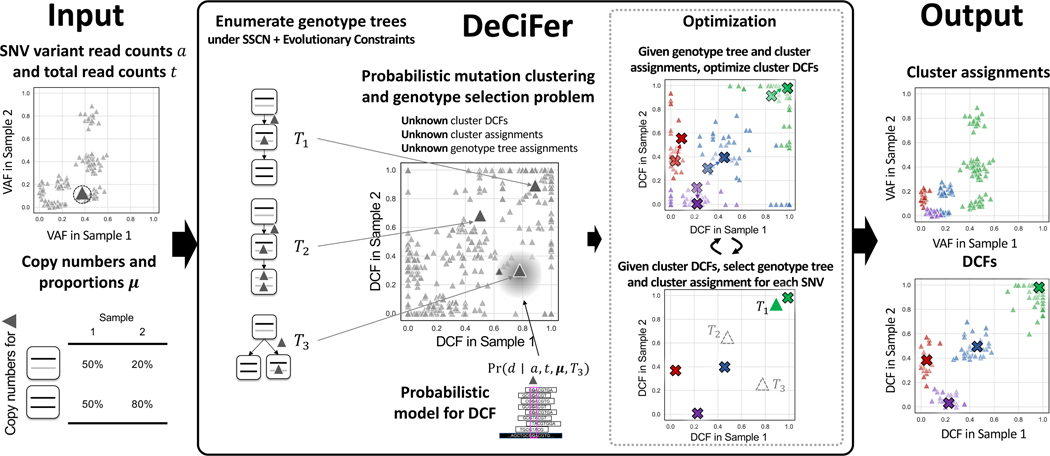 Figure 2: