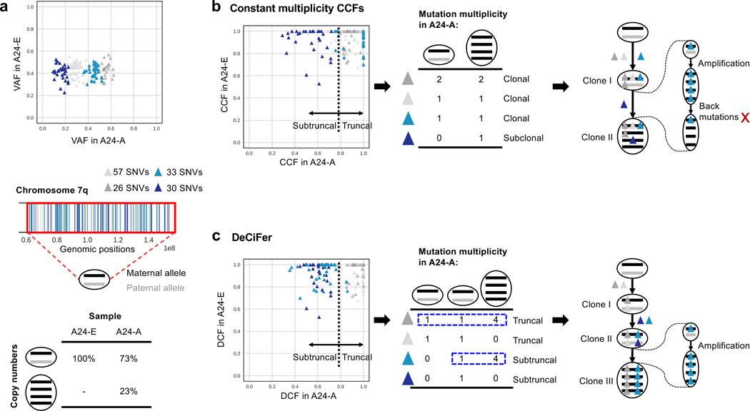 Figure 7: