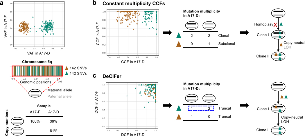 Figure 5: