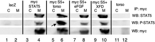 Figure 7.