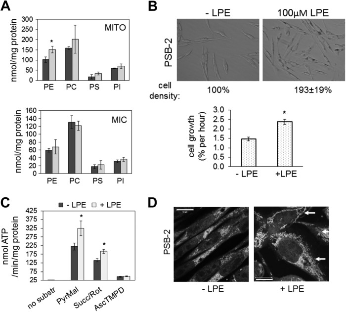 FIGURE 13.