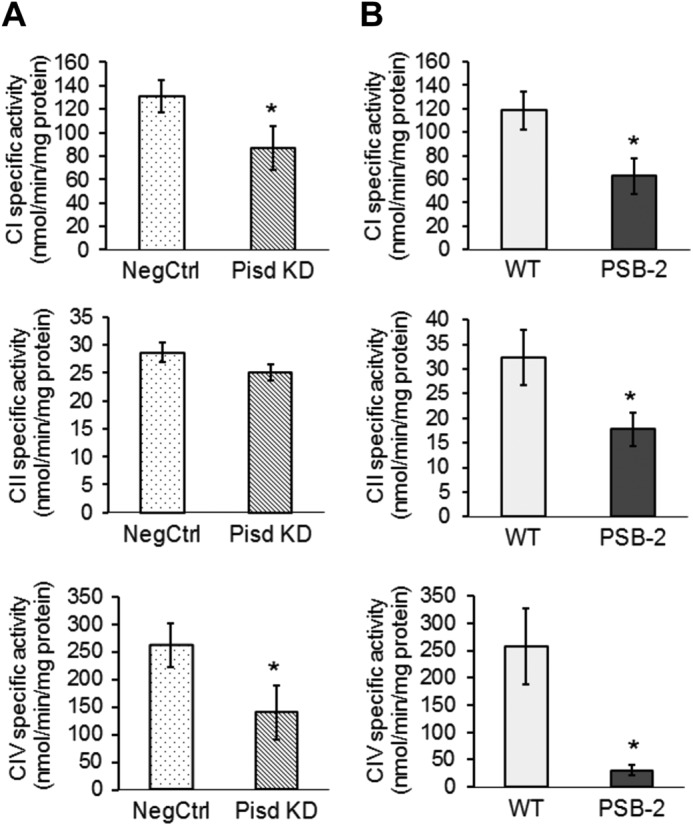 FIGURE 10.