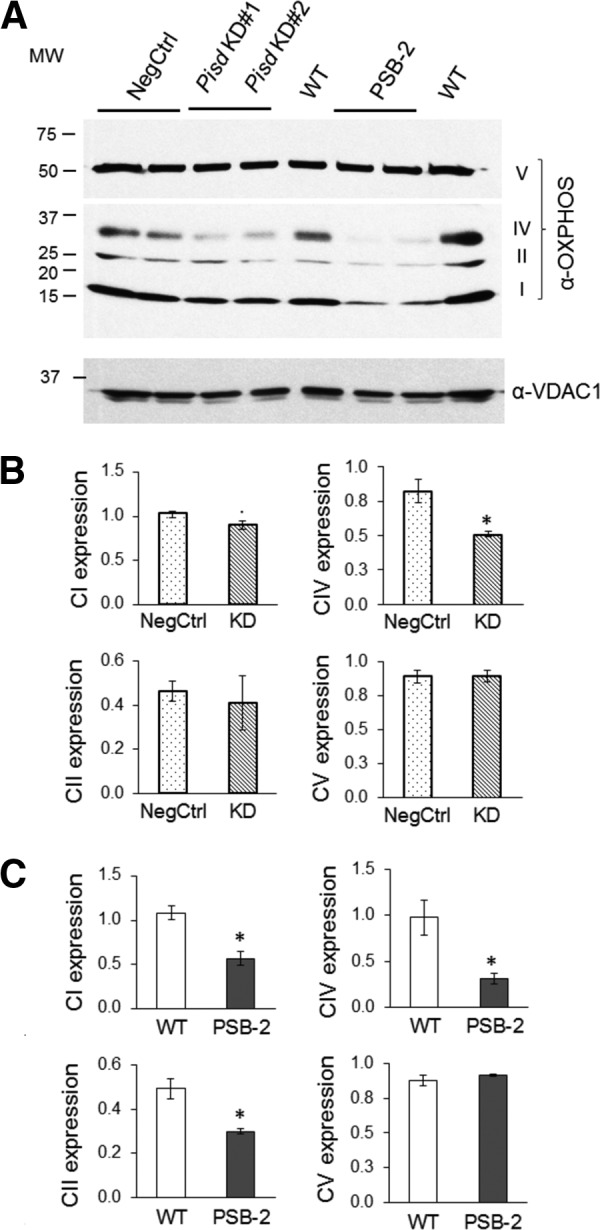 FIGURE 11.