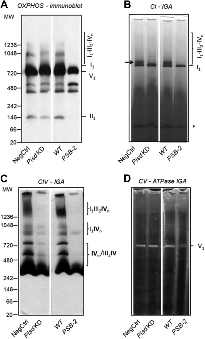 FIGURE 12.