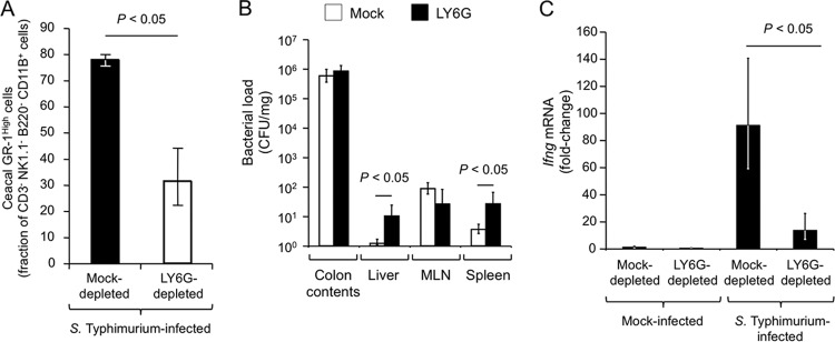 FIG 3