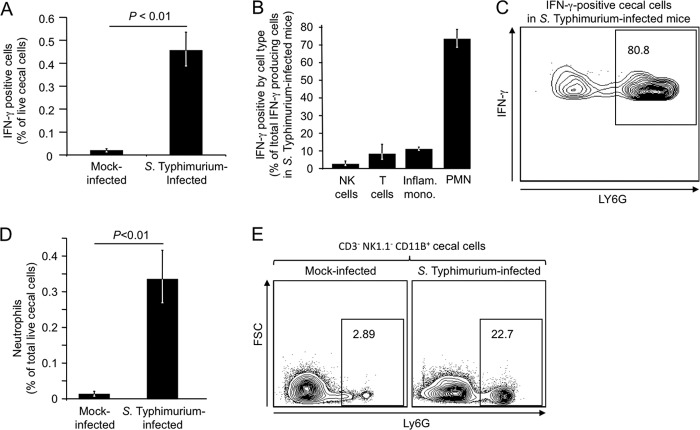 FIG 1