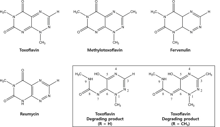 Fig 5