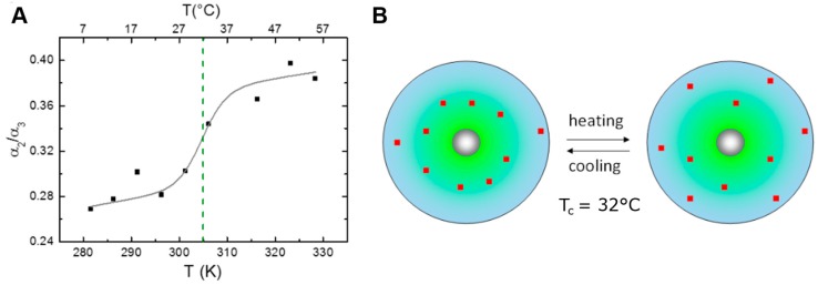 Figure 8