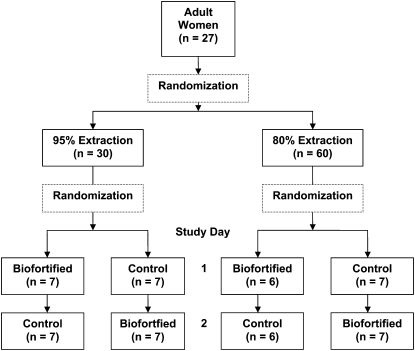 FIGURE 1 