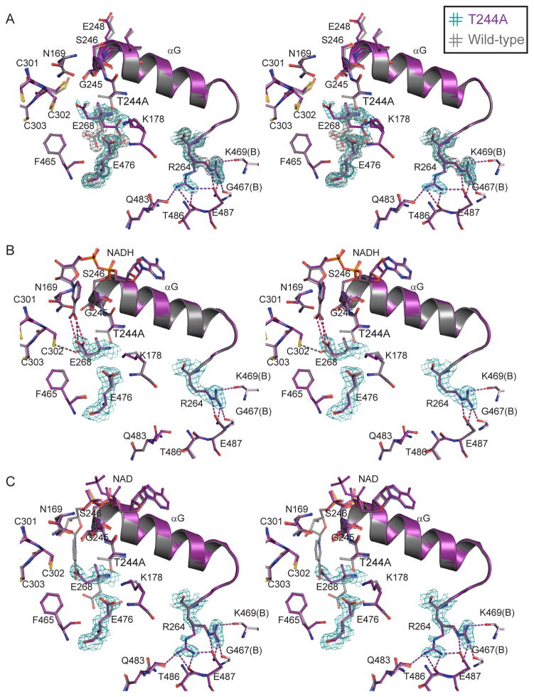 Fig. 3