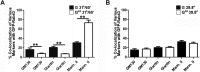 FIGURE 5: