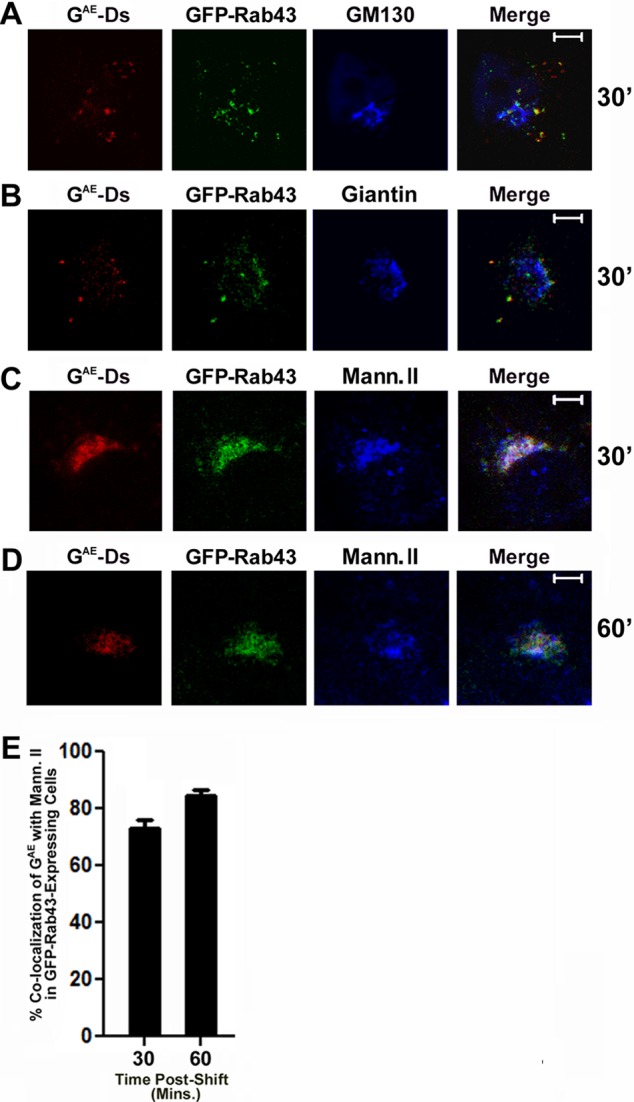 FIGURE 4: