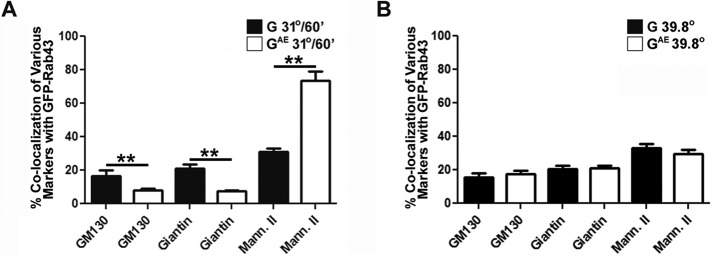 FIGURE 5: