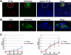 FIGURE 7: