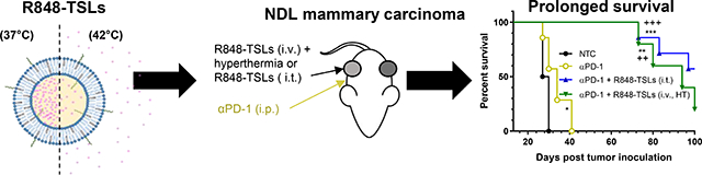 graphic file with name nihms-1646271-f0001.jpg