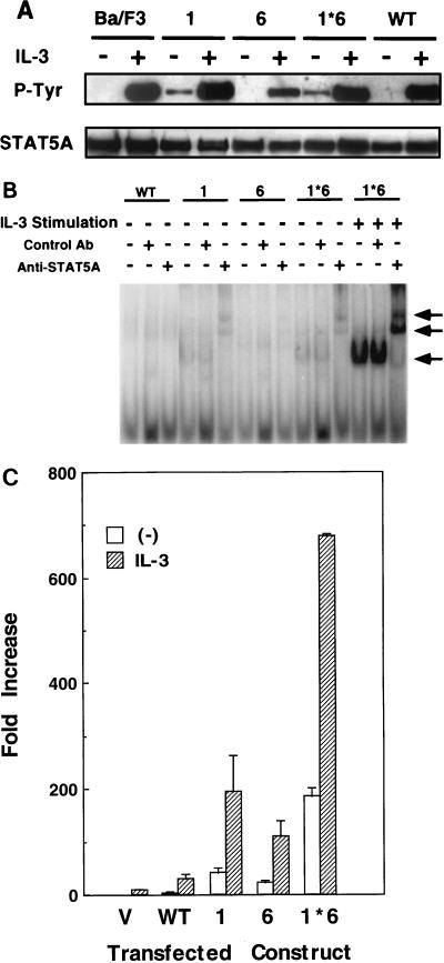 FIG. 3