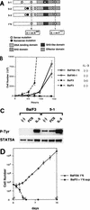 FIG. 1