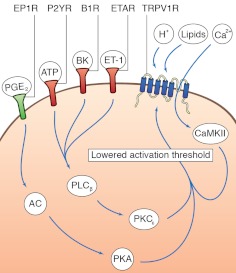 Fig. 7.