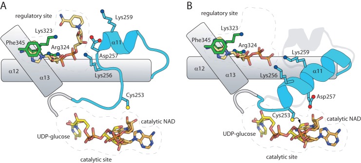 FIGURE 7.