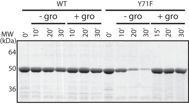 FIGURE 4.