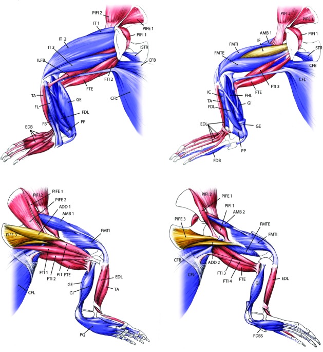 Fig. 2