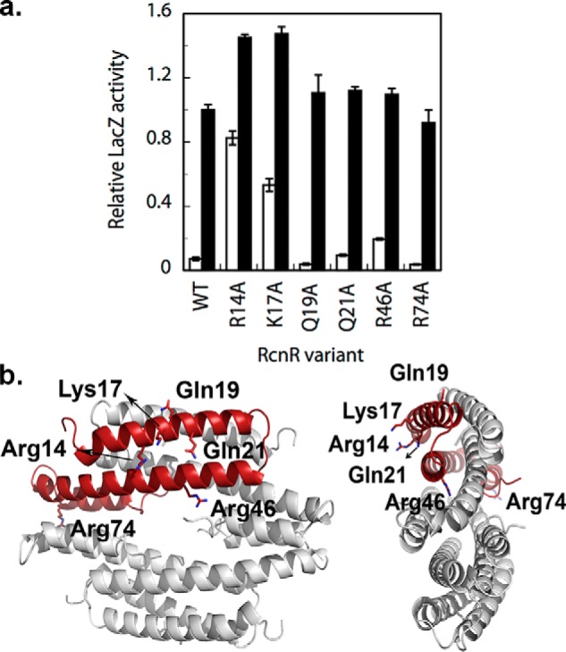 Figure 6.