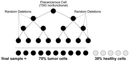 Figure  3. 