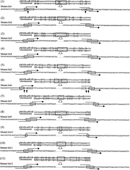 FIG. 7.