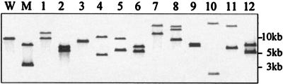 FIG. 5.