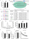 Figure 2—figure supplement 1.