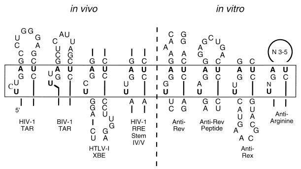 FIG. 7