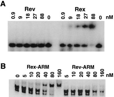 FIG. 5