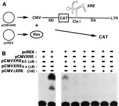 FIG. 6