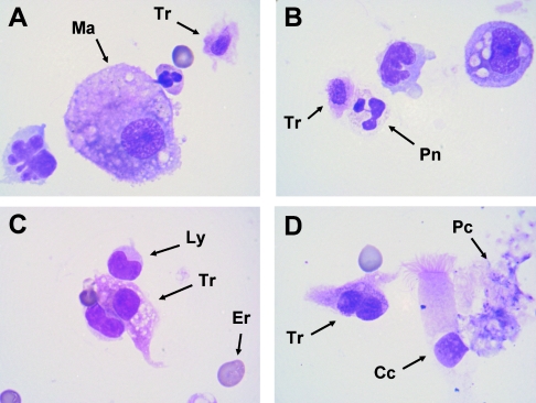 FIG. 1.