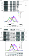 FIG. 4.